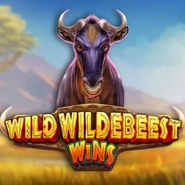 Wild Wildebeest Wins online game logo by Pragmatic Play on vicibetcasinoo.com